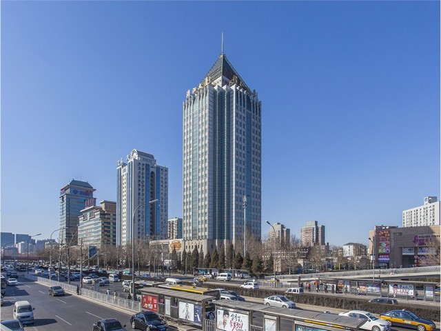 崇明商用植物租赁平台